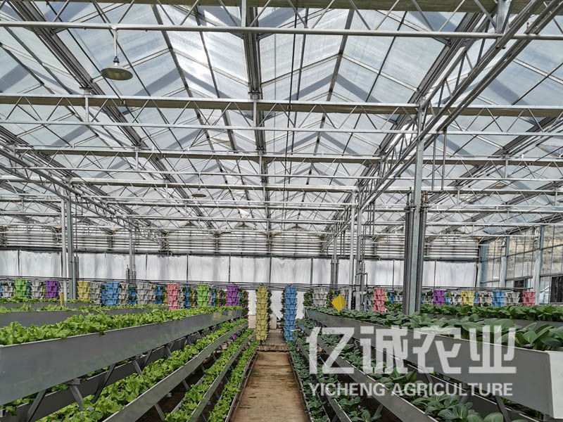 一畝溫室大棚造價多少錢？