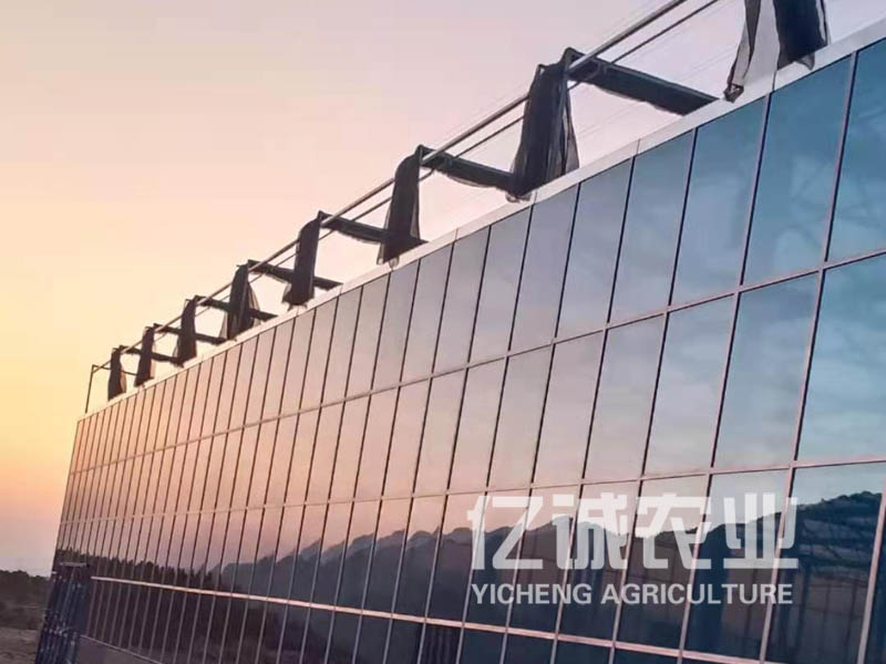 連棟薄膜溫室建設 連棟薄膜溫室建設