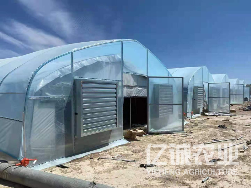 雙拱薄膜溫室大棚 雙拱薄膜溫室大棚