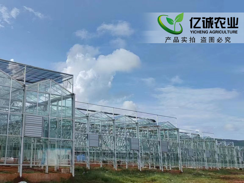 溫室大棚 溫室大棚