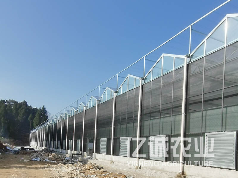 雙層薄膜連棟溫室大棚 雙層薄膜連棟溫室大棚