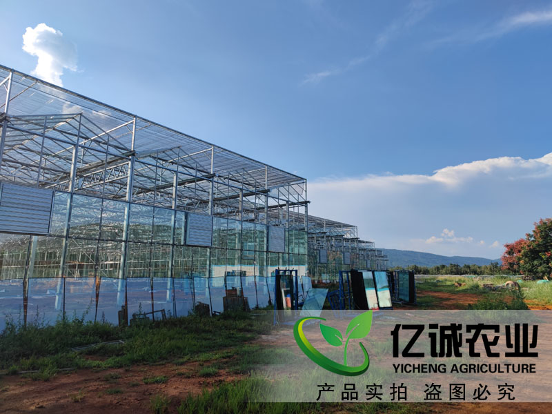 連棟玻璃溫室工程