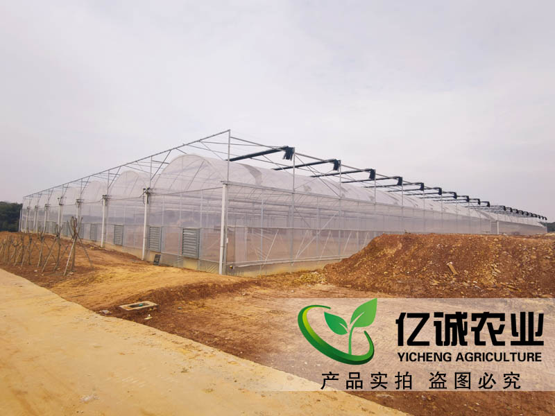 現代化薄膜連棟溫室大棚