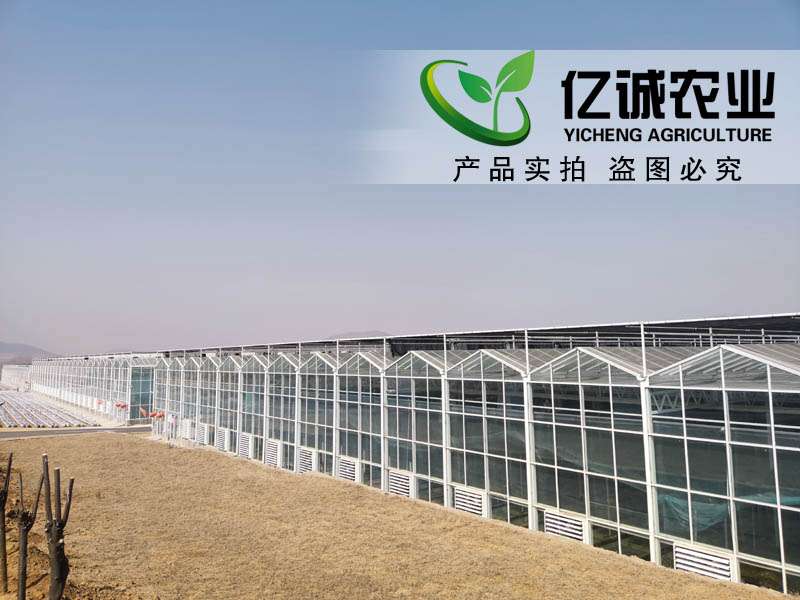 連棟玻璃溫室大棚