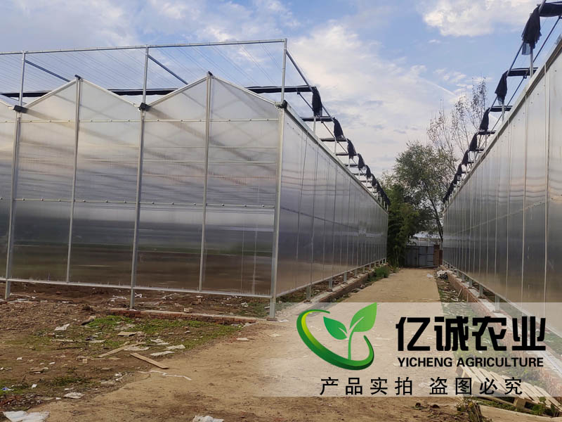 連棟薄膜溫室大棚