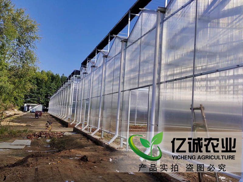 連棟智能溫室大棚