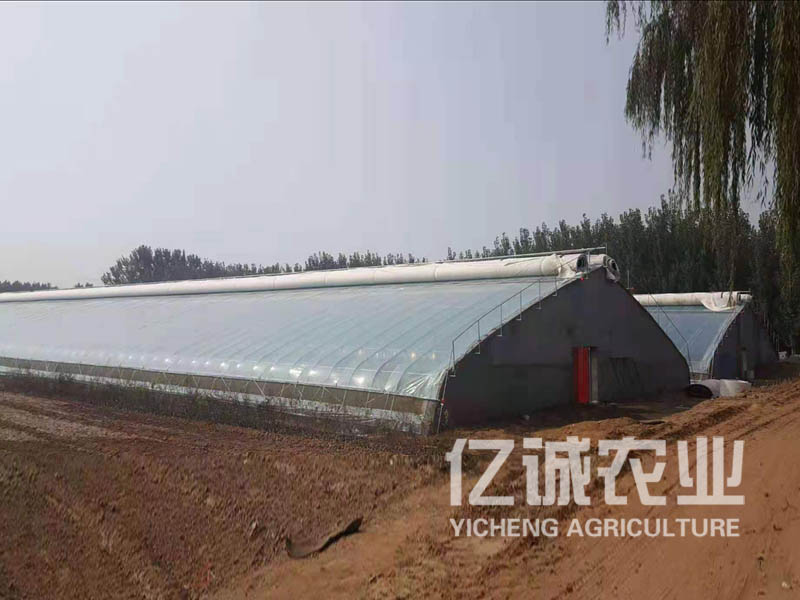 高溫拱形溫室拱棚 高溫拱形溫室拱棚