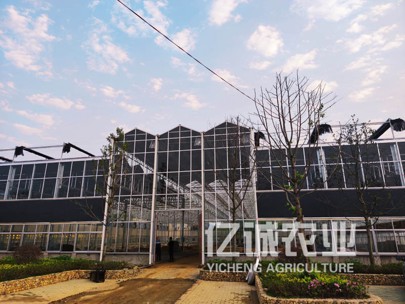 陽光板智能溫室