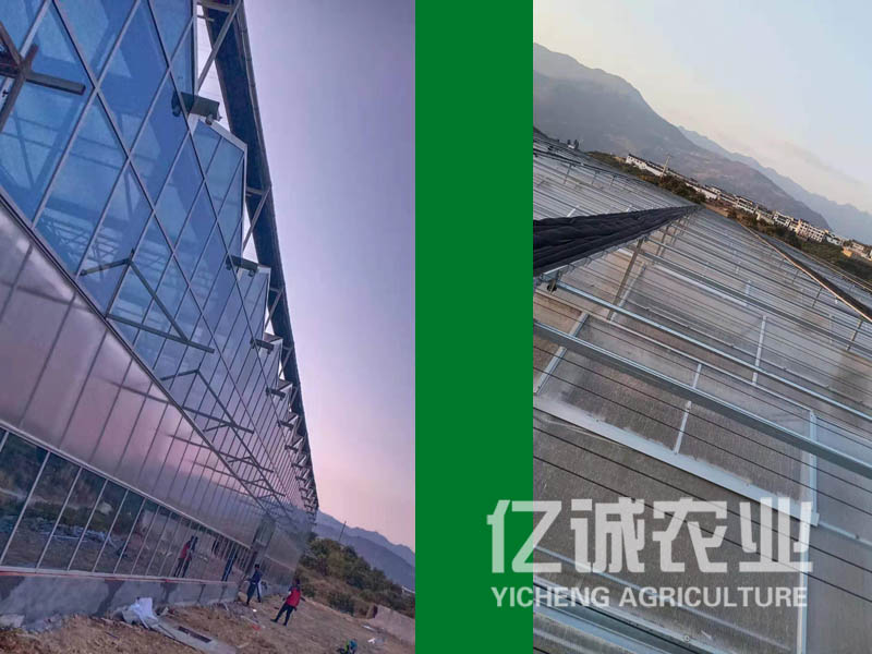 智能玻璃溫室大棚價格 智能玻璃溫室大棚價格