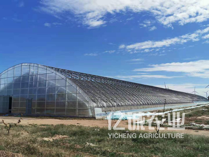 雙拱雙膜拱形大棚 雙拱雙膜拱形大棚