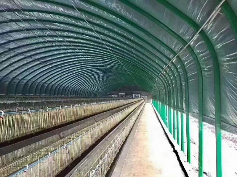 橢圓管養殖大棚