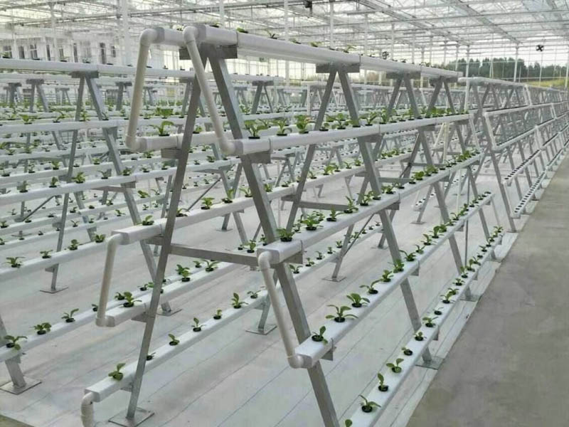 立體無土栽培溫室大棚建設