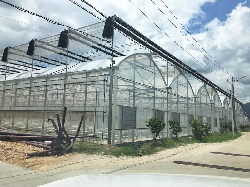 連棟薄膜溫室大棚